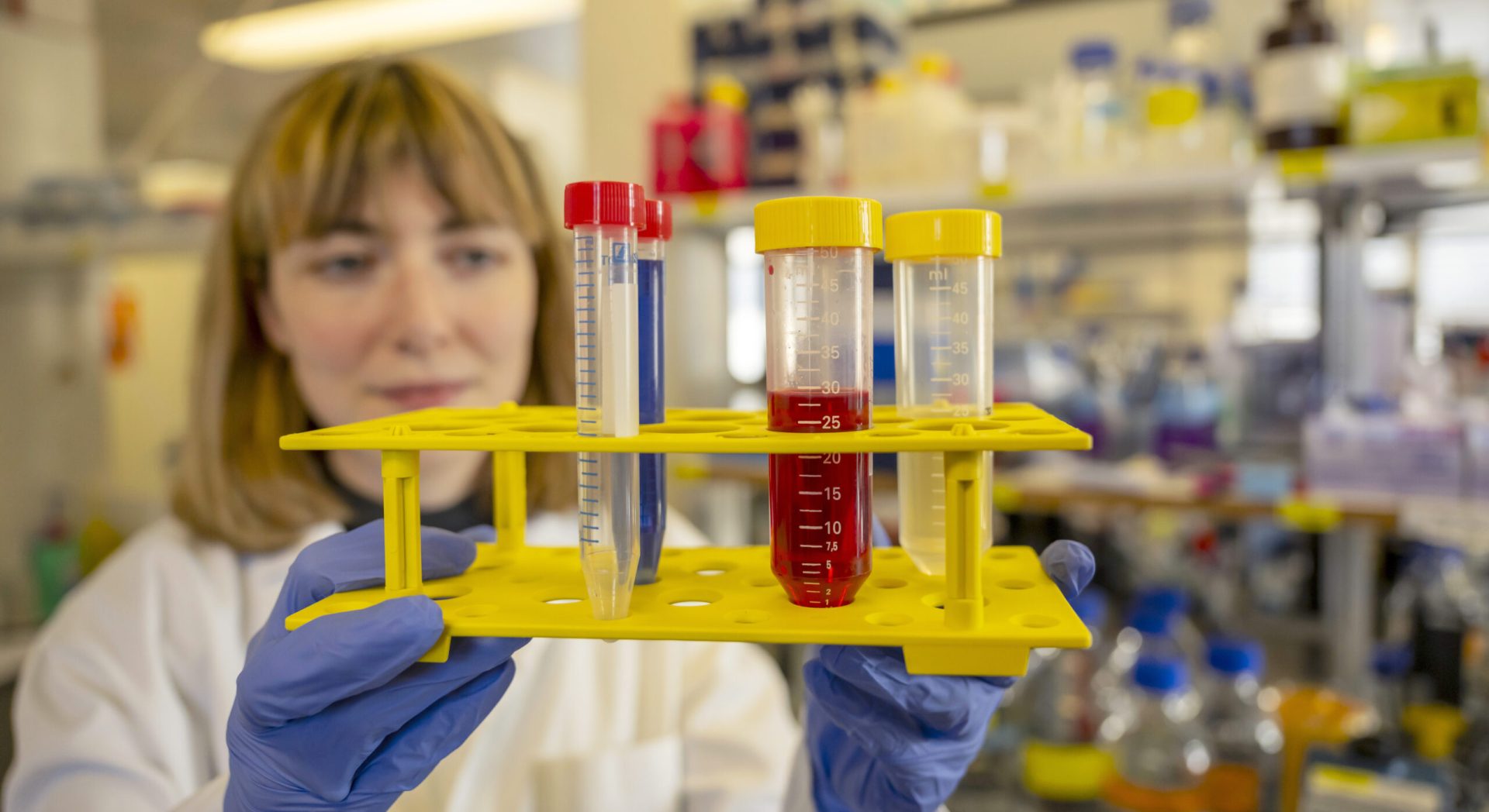 Website_202404_Highlights