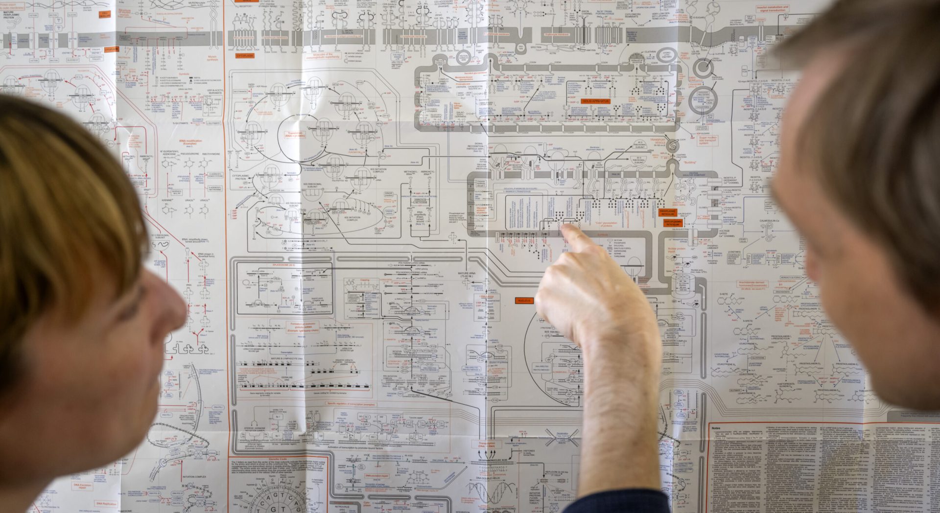 Website_202404_Platform